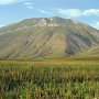 Castelluccio